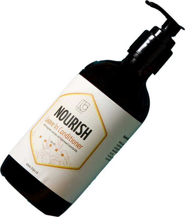NOURISH-header 2